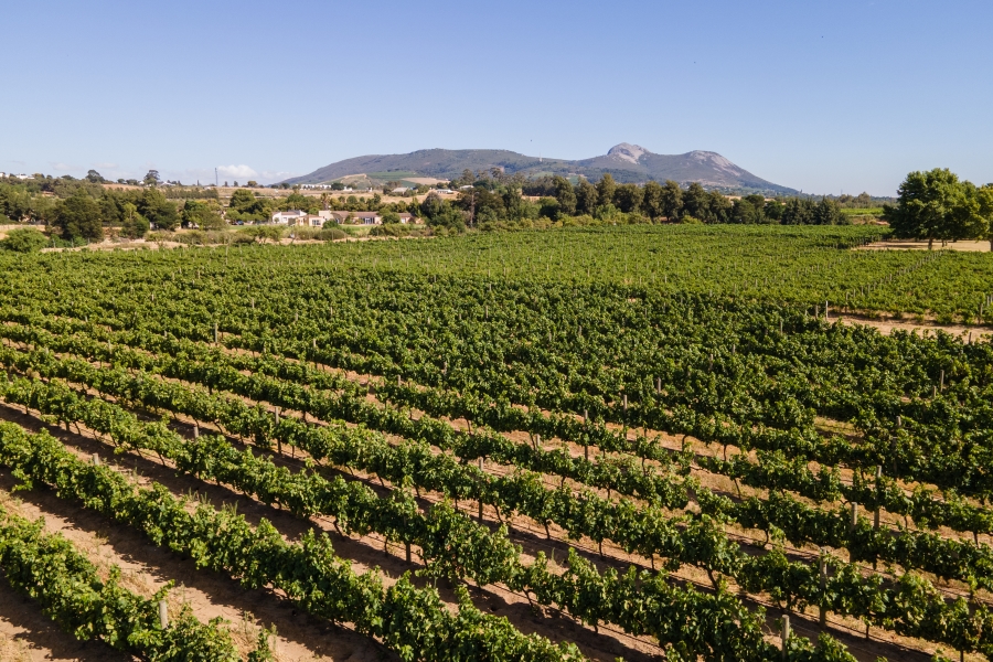 0 Bedroom Property for Sale in Val De Vie Estate Western Cape